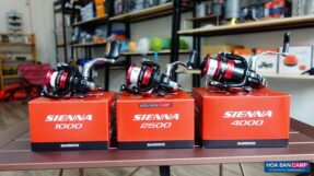 Máy Câu Dọc Shimano Sienna FG 1000-2000-2500-4000