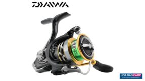 May Cau Daiwa Exceler LT 1000D 1