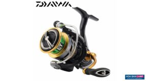 May Cau Daiwa Exceler LT 1000D 2