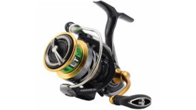 May Cau Daiwa Exceler LT cover