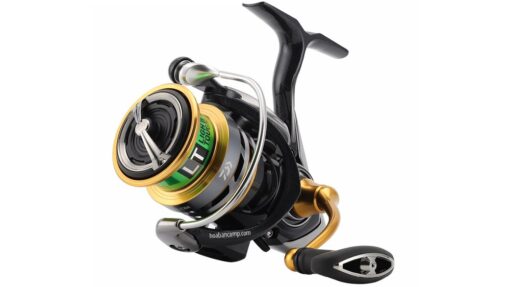 May Cau Daiwa Exceler LT cover