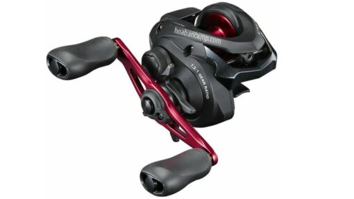 Shimano Caius cover