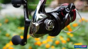 Máy Câu Dọc SHIMANO SEPHIA BB