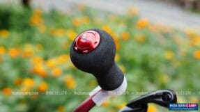 Máy Câu Dọc SHIMANO SEPHIA SS - C3000S