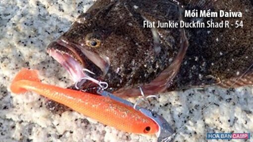 Moi mem Daiwa Flat Junkie Duckfin Shad R 3 1