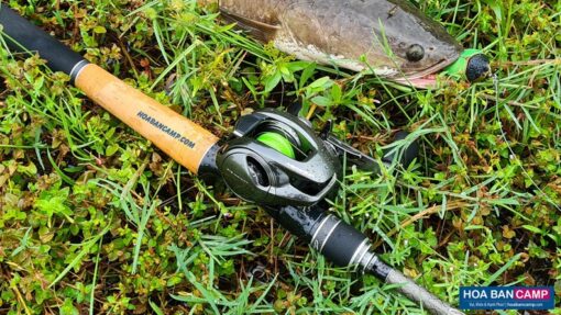 May Cau Shimano Metanium real 5