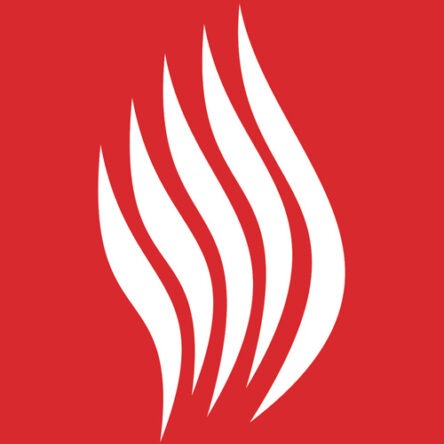 Fire Logo 2