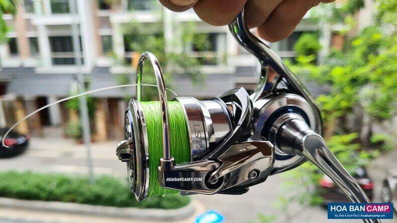 May Cau Daiwa Exist real 3