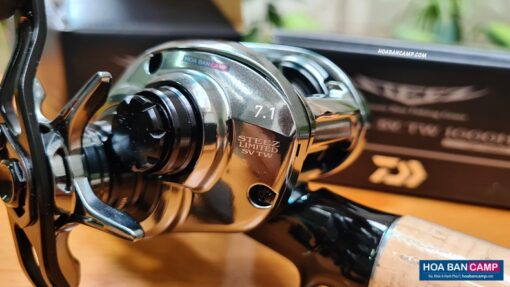 May Cau Ngang Daiwa Steez Limited SV TW 1000HL 2