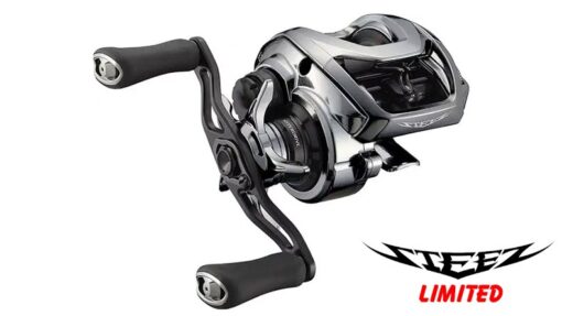 May Cau Ngang Daiwa Steez Limited SV TW 1000HL 9c