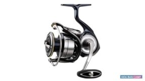 Máy Câu Dọc Daiwa Certate LT | 19