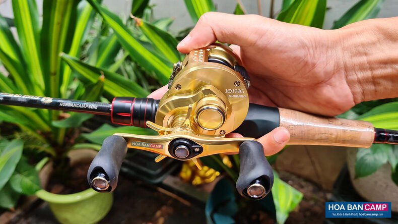 Máy Câu Ngang Shimano Calcutta Conquest 2021