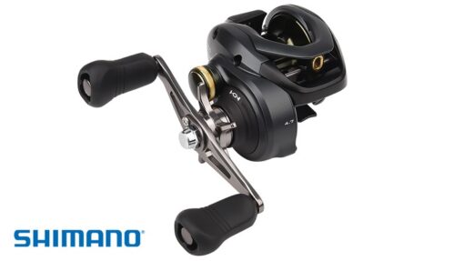 May Cau Ngang Shimano Curado 2020 cover