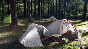 HOA BAN CAMP™ | hoabancamp.com | Hotline: 0968.333.260 – 0968.333.570