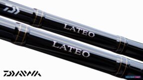 Cần Shore Daiwa 21 Seabass Lateo R | 2 Khúc