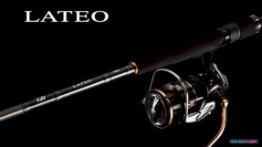 Cần Shore Daiwa 21 Seabass Lateo R | 2 Khúc