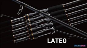 Cần Shore Daiwa 21 Seabass Lateo R | 2 Khúc