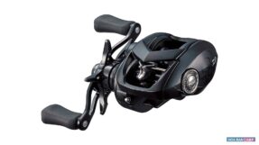 Máy Câu Ngang Daiwa 22 Tatula TW 80