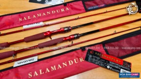 Can lure Daiwa 21 Salamandura