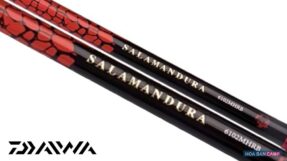 Can cau lure Daiwa 21 Salamandura