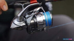 Daiwa 22 Exist LT