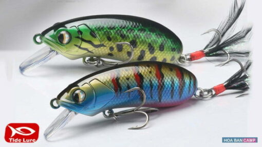 Moi Lure CC50 CC60 TideLure 7-10g