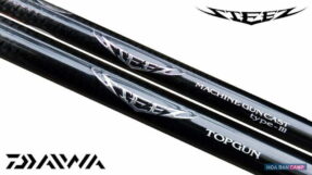 Daiwa Steez Rod 2p