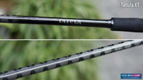 Can lure daiwa tatula xt