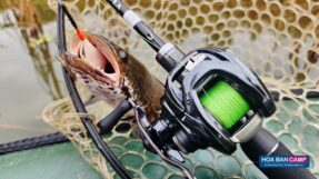 May Cau Daiwa Tatula SV TW 103 real 2