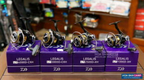 Daiwa Legalis LT