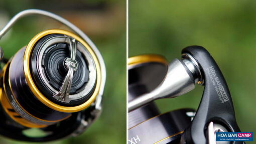 Daiwa Legalis LT