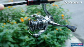 Shimano 21 Nasci FC
