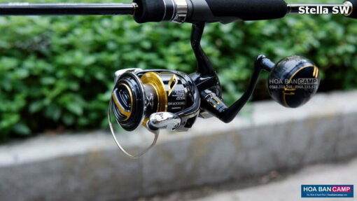 May cau doc Shimano 20 Stella SW