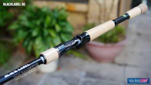 Can Lure Daiwa 20 BLACKLABEL SG 2 Khuc