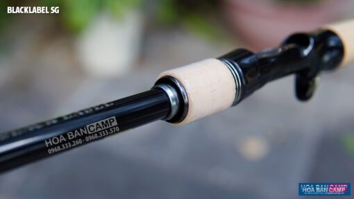 Can Lure Daiwa 20 BLACKLABEL SG 2 Khuc