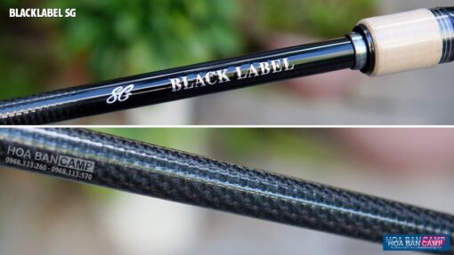 Can Lure Daiwa 20 BLACKLABEL SG 2 Khuc