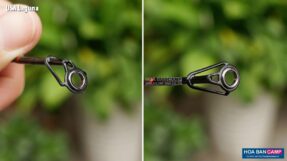 Can Lure Daiwa USA Laguna 2 khuc