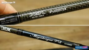 Can lure Daiwa Megatorque TR 2023