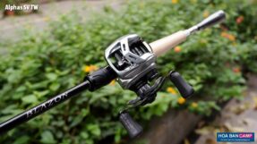 Máy Câu Ngang Daiwa Alphas SV TW | 2021