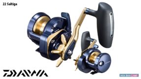 May Jig Ngang Daiwa 22 Saltiga