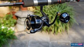 May cau doc Daiwa Saltiga 2023