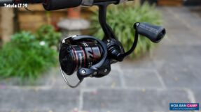 May cau doc Daiwa Tatula LT 19