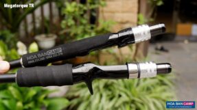 Can lure Daiwa Megatorque TR 2023 photo 3