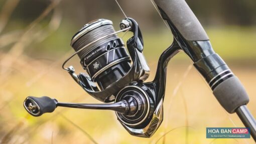 May cau doc Daiwa Tatula MQ LT 2023 photo 9