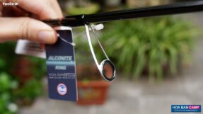Can Lure Daiwa Purelist SH 2 khuc
