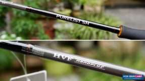 Can Lure Daiwa Purelist SH 2 khuc
