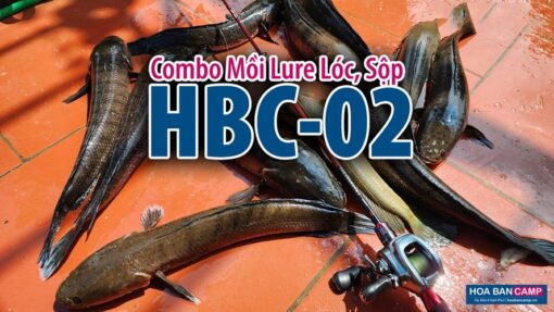 Combo Mồi Lure Lóc, Sộp