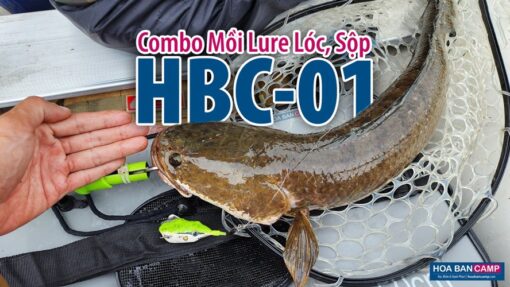 Combo Mồi Lure Lóc, Sộp