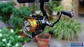 May Cau Doc Daiwa 23 MG Z LT