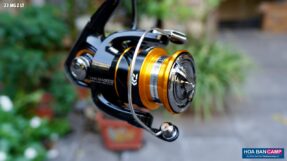 May Cau Doc Daiwa 23 MG Z LT